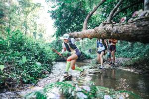 BIB: 
                            <button type="button" onclick="openModal(25435290)" class="btn btn-primary btn-sm float-right btn-popup" data-toggle="modal" data-target=".modal-high-quality">
                        <i class="fas fa-shopping-cart"></i> Add to Cart
                    </button>
                                            <button type="button" onclick="isThisMe(25435290, true)" class="btn btn-success btn-sm float-right btn-popup btn-isme hidden" data-toggle="tooltip" data-placement="bottom" title="นี่คือรูปของคุณใช่ไหม คลิกที่นี่เพื่อเอาเข้าอัลบั้ม">
                        <i class="fas fa-plus"></i> Add to album
                    </button>
                    <button type="button" onclick="isThisMe(25435290, false)" class="btn btn-warning btn-sm float-right btn-popup btn-isnotme hidden">
                        <i class="fas fa-ban"></i> Remove from album
                    </button>